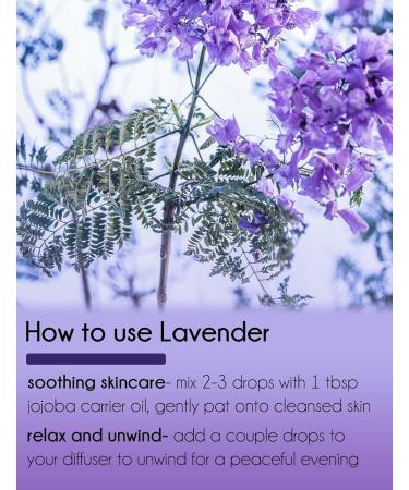 French Lavender 1/2 fl oz (15 ml) Glass Bottle 100% Pure Essential Oil GreenHealth - Buy Online on GoSupps.com