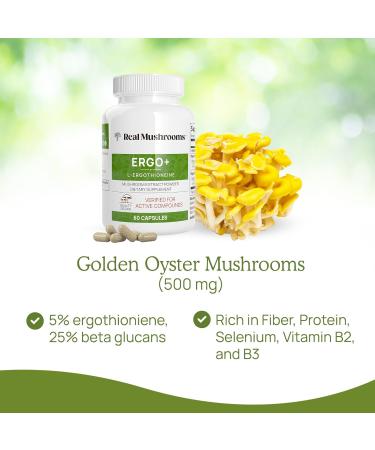 Real Mushrooms Ergothioneine (60ct) and Lion s Mane Organic Powder (60 Servings) Bundle with Shiitake and Oyster Mushroom Extracts - Longevity and Cognition - Vegan Gluten Free Non-GMO - Buy Online on GoSupps.com