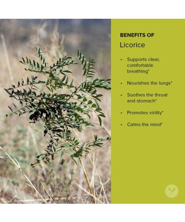Banyan Botanicals Licorice Root Powder 1/2lb - USDA Organic Glycyrrhiza Glabra - Ayurvedic Herb for Lungs, Skin & Stomach 8oz - Buy Online on GoSupps.com