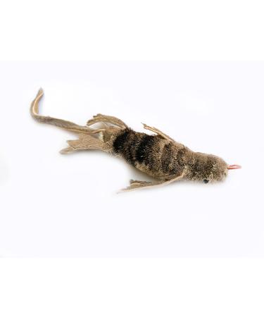 Purrs Lizard attachment- Fits PurrSuit Frenzy & DaBird wand Cat Toys - Buy Online on GoSupps.com