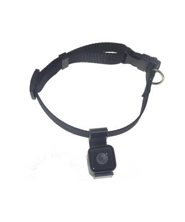 Digital Pet Collar Cam Camera DVR Video Recorder Monitor for Dog Cat Puppy