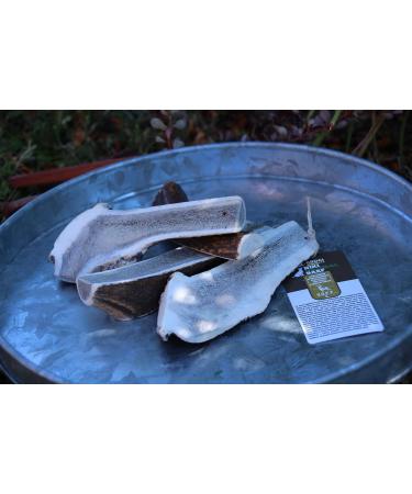 Croci Niki Natural Barf - Open Deer Antlers for Dogs Natural Dog Snack Ideal for Barf Diet L 80-110 g - Buy Online on GoSupps.com
