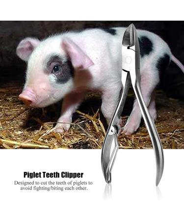 Ipper Nippers Guinea Pig Trimmer & Stainless Steel Teeth Clipper for Rodents - Wolf Vet Approved - Buy Online on GoSupps.com