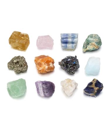 JOVIVI 12pc Chakra Stones Healing Crystals Set Natural Raw Quartz Rough Rock Stones Crystals for Worry Stones Anxiety Stress Relief Crystal Therapy Meditation Reiki Balacing Size 0.59"-0.9"