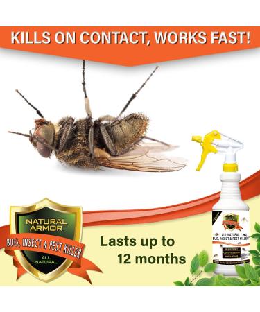 128 oz Natural Bug and Insect Killer for Indoor and Outdoor Use - Flea, Tick, Ant, Spider, Bed Bug, Dust Mite, Roach Control with Trigger Sprayer - 1 Gallon - Buy Online on GoSupps.com