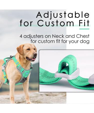 Thinkpet Anti Zug Dog Harness | Adjustable No-Choke Control Harness with Handle | Reflective & Breathable Dog Gear (Large Blue-Green) - 1 Pack - Buy Online on GoSupps.com