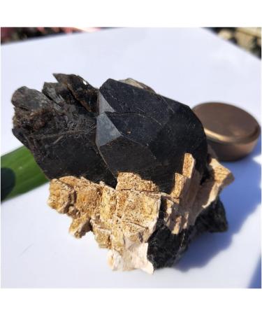 Natural Crystal Rough 100g-500g Natural Black Crystal Quartz Cluster Reiki lemurian Seed Prism Charms Stones and Minerals for Home Decoration (Color : About 400g) - Buy Online on GoSupps.com