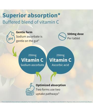 Igennus Gentle Buffered Vitamin C Chewable 500mg for Kids & Adults Optimized Absorption with Dual Forms Sodium Ascorbate & Ascorbic Acid Sugar Free Natural Orange & Lemon Flavors 120 240 Servings - Buy Online on GoSupps.com