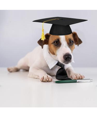 2023 Graduation Dog Cat Cap and Necktie Set - Perfect Graduation Costumes for Pets - Buy Online on GoSupps.com
