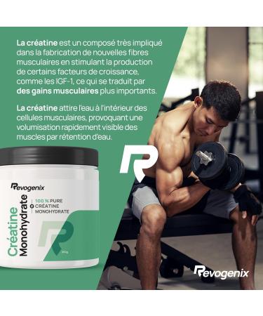 Cr atine Monohydrate Pure | 83 Portions | Prise de Masse Force Explosivit R sistance Musculaire et R cup ration | Pre Workout Musculation | 100% Vegan | 250g | Revogenix - Buy Online on GoSupps.com