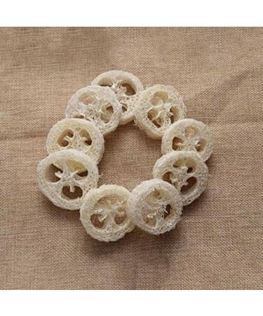 50 Natural Loofah Slices for Soap Making - Organic Cleaning Supplies - Buy Online on GoSupps.com