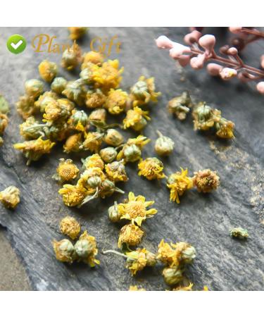 Buy Wild Chrysanthemum Tea - Authentic Chinese Tea 60g | Health Benefits | International Shipping - Buy Online on GoSupps.com