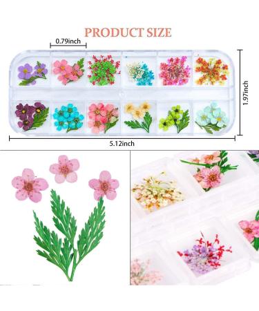 UNIME 16 Colors Dried Flowers for Nail Art | Mini Real Natural Flowers Nail Art Supplies | 3D Applique Decoration Sticker for Manicure (Mixed Gypsophila) - Buy Online on GoSupps.com