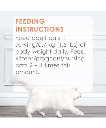 Fancy Feast Petites Wet Cat Food Pate Wild Alaskan Salmon Entree - 79.4 g Tray (12 Pack) Wild Alaskan Salmon 12 - Buy Online on GoSupps.com