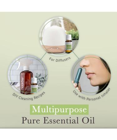 Pranarom USDA Certified Organic Eucalyptus Globulus Essential Oil (15ml) 100% Pure Undiluted Therapeutic Grade from Portugal for Aromatherapy Diffuser Topical Care Relaxation 0.5 Fl Oz (Pack of 1) - Buy Online on GoSupps.com