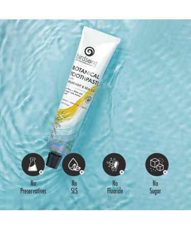 Botanical Sea Salt and Spearmint Toothpaste 100 GMS - Natural Whitening & Fresh Breath | International Shipping Available - Buy Online on GoSupps.com