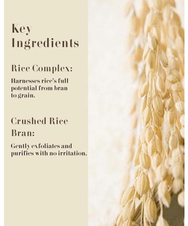 Rice Therapy Rice Bran Foam Cleanser 5.1oz - Deep Cleansing Foam for Oily Skin | Pack of 2 - Gentle Exfoliation for Radiant Skin - Unisex Facial Cleanser - Buy Online on GoSupps.com