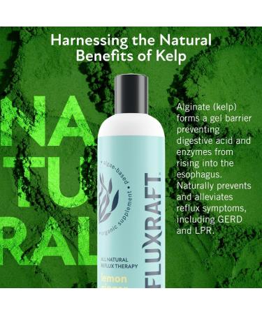 RefluxRaft Acid Reflux Therapy, Organic Alginate, Rapid & Long Lasting Gerd, LPR & Digestion Symptom Support, Zero Sugar, Gluten Free, Low Sodium, Lemon Ginger, 47 Gel Servings Per 8 OZ Bottle, 2 Pack - Buy Online on GoSupps.com