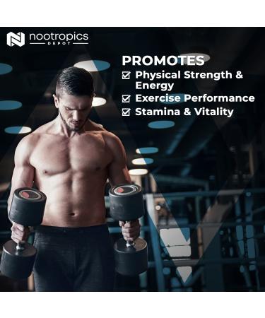 Tongkat Ali Extract Capsules 200mg - 60 Count | High Potency Eurycomanone | Eurycoma Longifolia Root Extract - Buy Online on GoSupps.com