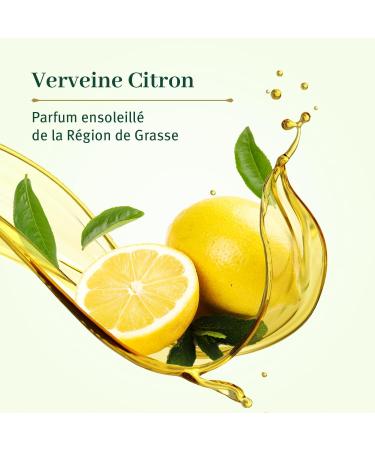  Le Petit Olivier LE PETIT OLIVIER - Pack of 12 - Pure Marseille Liquid Soap - Verbena Lemon Fragrance from the Grasse Region - Gently cleanses the skin - 95% Natural Origin - Made in France - 300 ml - Buy Online on GoSupps.com