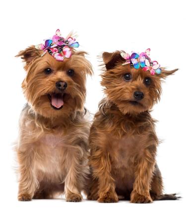 18 Pieces Butterfly Glitter Hair Clips - Adorable Hair Accessories for Young Women - Buy Online on GoSupps.com