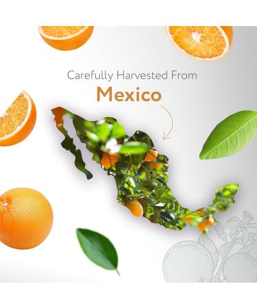 HBNO Organic Orange Oil - Huge 16 oz (475ml) Large Size - Ideal for Diffusers Cleaning Agents Deodorizers and Flavoring Agents (Glass Bottle). - Buy Online on GoSupps.com