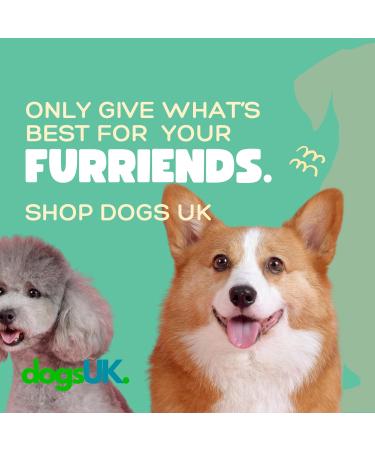 Dogs UK | Dog First Aid Kit UK Specialists | Pet First Aid Kit Dog Tailored - Comprehensive First Aid Kit for Dogs | Pet Supplies and Health Supplies for Dogs | Quality Dog Health and Dog Care - Buy Online on GoSupps.com