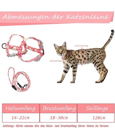 2PC Adjustable Cat Line Set | Soft Dishes & Leash for Kittens | Outbreak-Proof Tableware (Black & Red) - Ideal for International Shipping - Buy Online on GoSupps.com