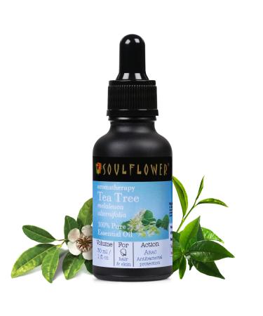 Soulflower Organic Tea Tree Essential Oil for Oily Skin & Itchy Scalp- Melaleuca Alternifolia- 100% Pure Natural Vegan Cruelty Free Premium Quality Aromatherapy Diffusion 30ml/ 1 fl oz Tea Tree 1 Fl Oz (Pack of 1)