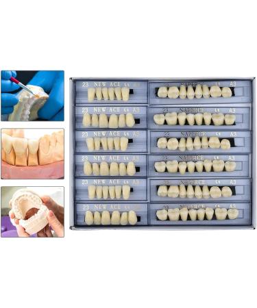 168 Pcs Dental Synthetic Resin Tooth Denture A3 Upper And Lower Acrylic Teeth Sets Acrylic Resin False Teeth for Halloween Horror Teeth - Buy Online on GoSupps.com