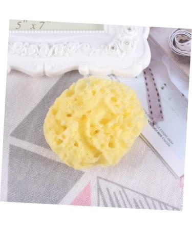 Healeved 1pc Bath Shower Sponge Sea Sponge Bath Sponge Folding Comb Men Sponge for Bathing Exfoliating Face Sponge Exfoliating Sponge Seaweed Sponge Sponges Baby Algae Sponge Take a Bath - Buy Online on GoSupps.com