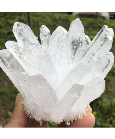 Natural Transparent White Quartz Crystal Cluster Specimen Reiki Stone Crystal Cluster (Size : 600-650g) - Buy Online on GoSupps.com