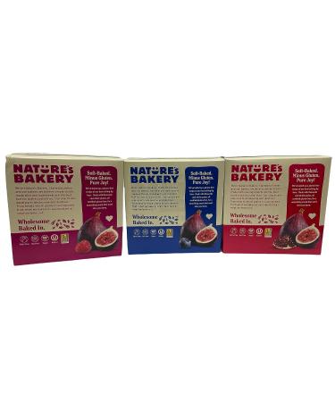 Natures Bakery Gluten Free Fig Bars Variety Bundle - Raspberry, Blueberry, Pomegranate with Recipe Card - Buy Online on GoSupps.com