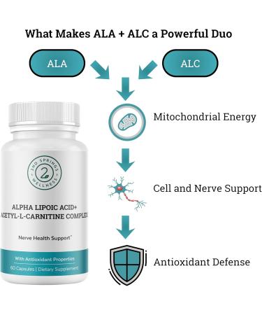 2nd Springs ALA & ALC Complex + 7 Mushroom Complex Bundle | Energy Focus Cognitive Support Immunity Metabolism & Daily Vitality - Buy Online on GoSupps.com