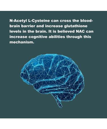 LifeLink NAC (N-Acetyl L-Cysteine) Capsules - 600mg | Antioxidant & Anti-Aging Support | 120 Count | Gluten Free & Non-GMO | Made in USA - Buy Online on GoSupps.com