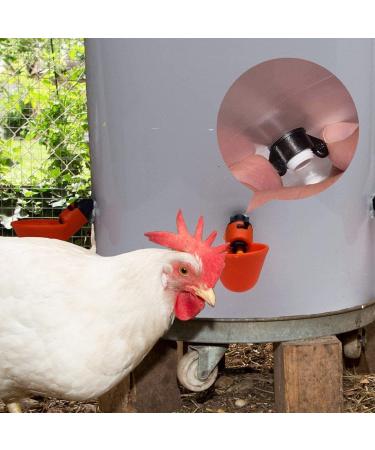 Red Automatic Plastic Chicken Drinker Cups 6pcs Poultry Drinke Used for Poultry Chicken Hen and Birds - Buy Online on GoSupps.com
