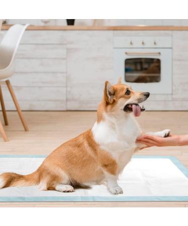 Wave Medical 23x36 50-Pack Disposable Bed Pads for Incontinence - USA-Made Underpads with 6-Layer Fluff & Polymer Core - Ideal for Pets, Puppy Training, Kids & Adults - 50 Count - Buy Online on GoSupps.com
