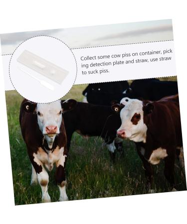 Magiclulu 3-Piece Cattle Pregnancy Test Strips - High Precision Detection Tool for Pregnancy Recognition - Fast & Accurate Testing for Cows - Buy Online on GoSupps.com