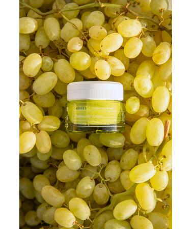 KORRES Santorini Grape Poreless Skin Cream 1.35 fl. oz. - Pore-Refining Cream for Smooth Skin - Buy Online on GoSupps.com