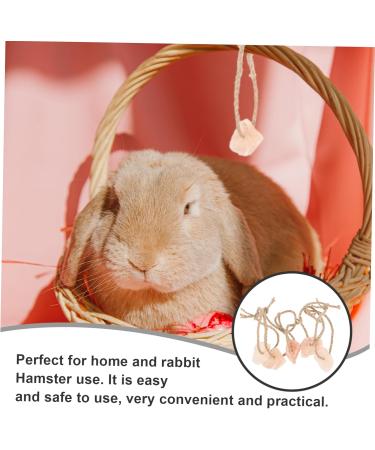 Mipcase 5pcs Hanging Salt Pet Salt Cattle Salt Lick Salt Lick for Rope - Buy Online on GoSupps.com