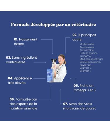 Dog Arthrosis - 60 bites - 11 natural active ingredients (Glucosamine Chondroitin MSM green lipped mussel devil's claw) - Dog Joints - Anti-inflammatory - Dog food supplement - Buy Online on GoSupps.com