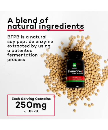 Daiwa Plasmanex 1 Blood Circulation Supplement + Daiwa Krill Oil Omega 3 Krill Oil Capsules - Buy Online on GoSupps.com