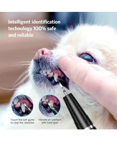 AMIR Dog Teeth Cleaning Kit 5 Modes Pet Ultrasonic Tooth Cleaner Dog Tooth Tartar Remover with USB Charging Automatic Identification of Gums Ipx6 Waterproof Dog Teeth Cleaning for Dogs and Cats - Buy Online on GoSupps.com