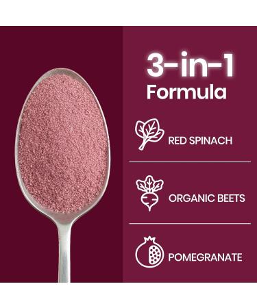 NUTRAJOY Organic Beet Root Powder Nitric Oxide Superfood Supplemen for Energy Support Nitric Oxide Booster Vegan Mixed Berry Flavor - 8.8 oz 30 Servings - Buy Online on GoSupps.com