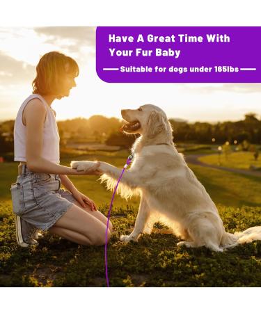 Haiyuan Dog Tie Out Cable 20ft for Large Dogs - Durable Steel Wire Runner with Superior Clips - Heavy Duty Outdoor Lead for Dogs Up to 165 LBS - Purple - Buy Online on GoSupps.com