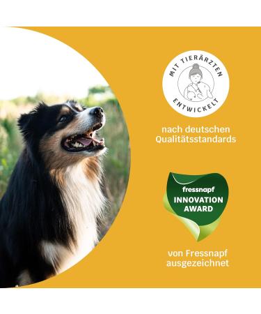 Mammaly Immu Push Snack | Nutritional Supplements & Vitamins for Dogs | Boost Immune System | 30 Snack Packs - Buy Online on GoSupps.com
