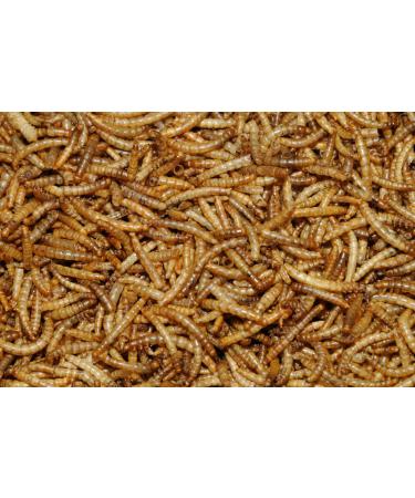 2.5 kg Dawn Chorus Dried Mealworms for Wild Birds