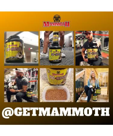 Mammoth Iso-Rush Premium Whey Protein Isolate Fast-Digesting Hormone Free Cross Flow Micro-Filtered (CFM) Sugar Free Bioactive Lactose Free Gluten Free 5 LB (Vanilla Ice Cream) - Buy Online on GoSupps.com