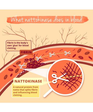 Vegavero NATTOKINASE capsules 20000 FUg Made from natto fermented soy beans 180 capsules Laboratory tested Vegan without additives - Buy Online on GoSupps.com