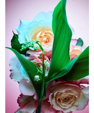 Bvlgari Rose Goldea Blossom Delight for Women - 1.7 oz EDP Spray 1.7 Fl Oz (Pack of 1) - Buy Online on GoSupps.com